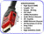 3 Foot High Speed HDMI Cable w/Ethernet-28AWG CL2 for Xbox 3D-Blu-ray